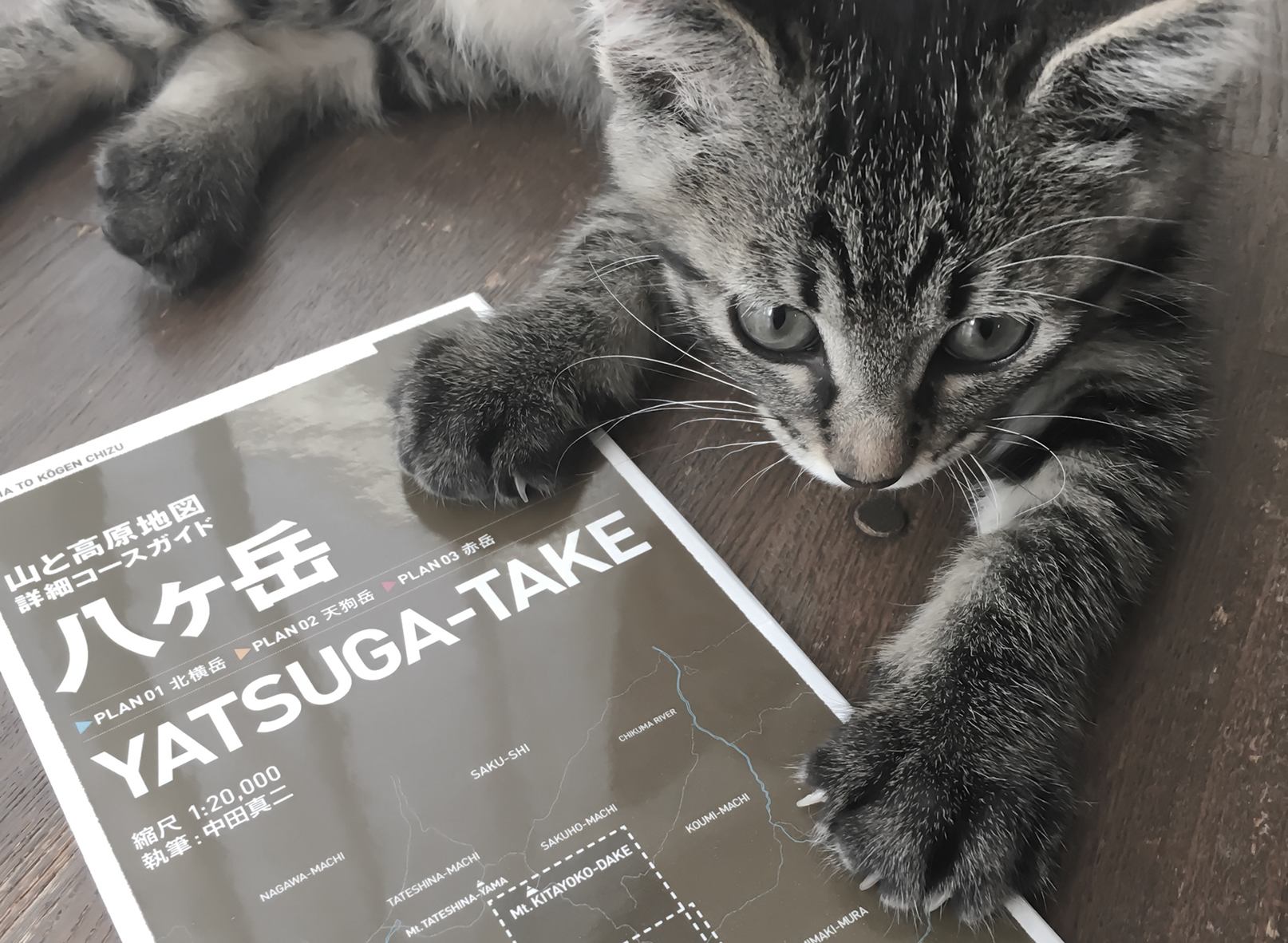 北海道から八ヶ岳へ遠征登山vol 1 行者小屋へ 山と星とカメラ 北海道から八ヶ岳へ遠征登山vol 1 行者小屋へ 山と星とカメラ